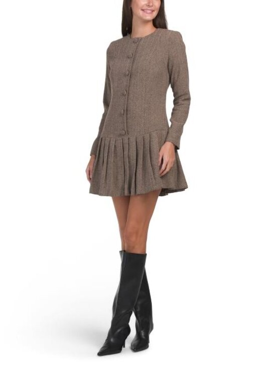 Alexia Admor Dresses & Skirts - ALEXIA ADMOR Long Sleeve Drop Waist Pleated Mini Dress